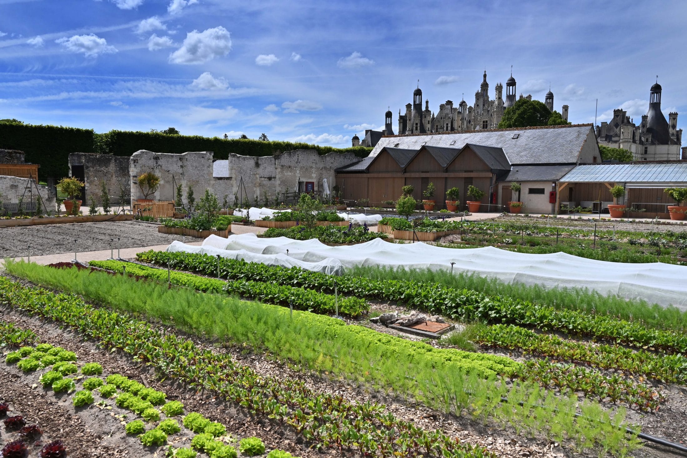 Les Jardins Potagers De Chambord En Permaculture Chateau De Chambord