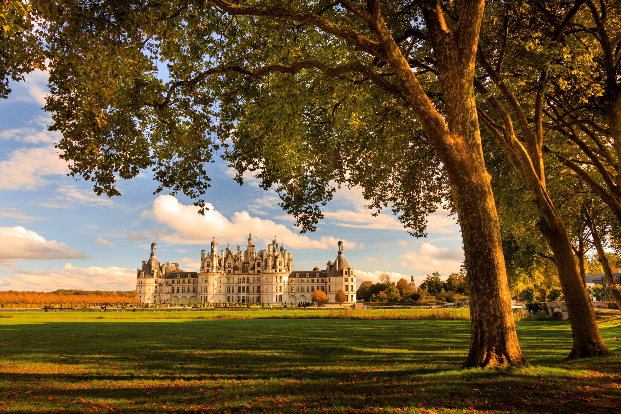 Stunning view of Château de Chambord with its reflection in serene water, under a dramatic sky.